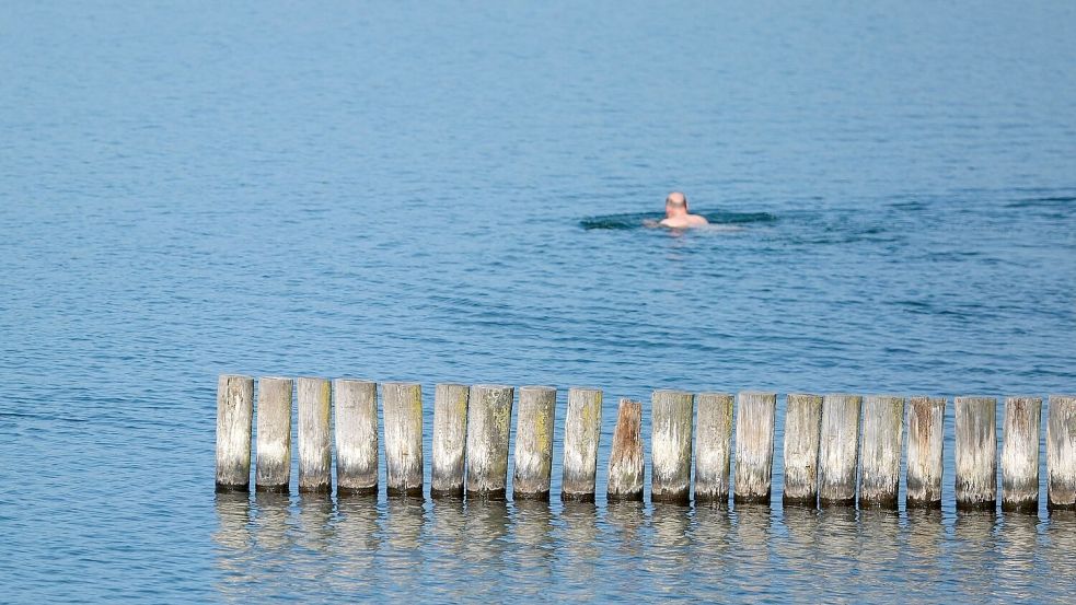 Viele Menschen dürften an diesem Wochenende Abkühlung suchen - so wie dieser Schwimmer am Markkleeberger See bei Leipzig. Foto: Sebastian Willnow/dpa