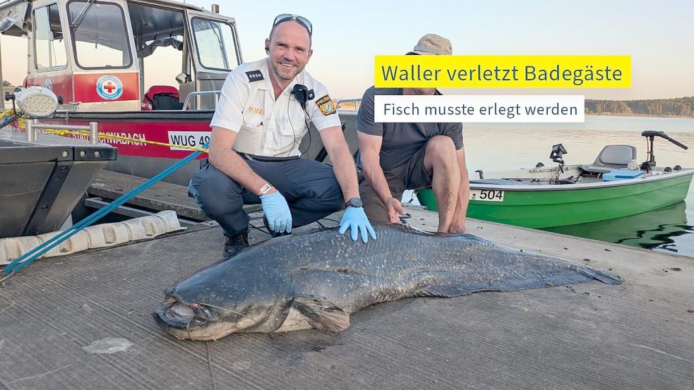 Die Polizei hat ein Foto des erlegten Riesenwels veröffentlicht. Foto: -/Polizei Mittelfranken/dpa