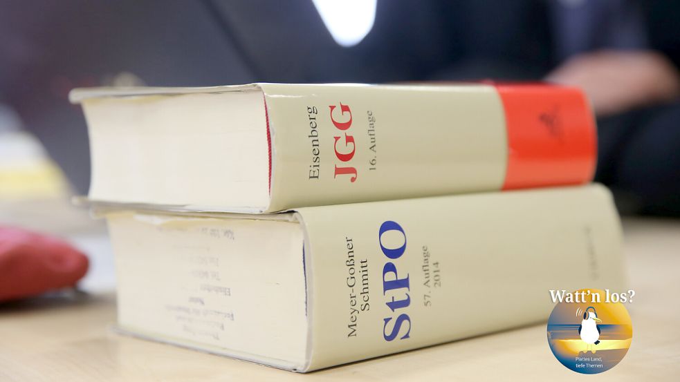 Nach dem Jugendgerichtsgesetz (JGG) werden Jugendliche verurteilt. Was danach passiert, ist Thema der neusten Podcastfolge. Symbolfoto: Christian Charisius/dpa