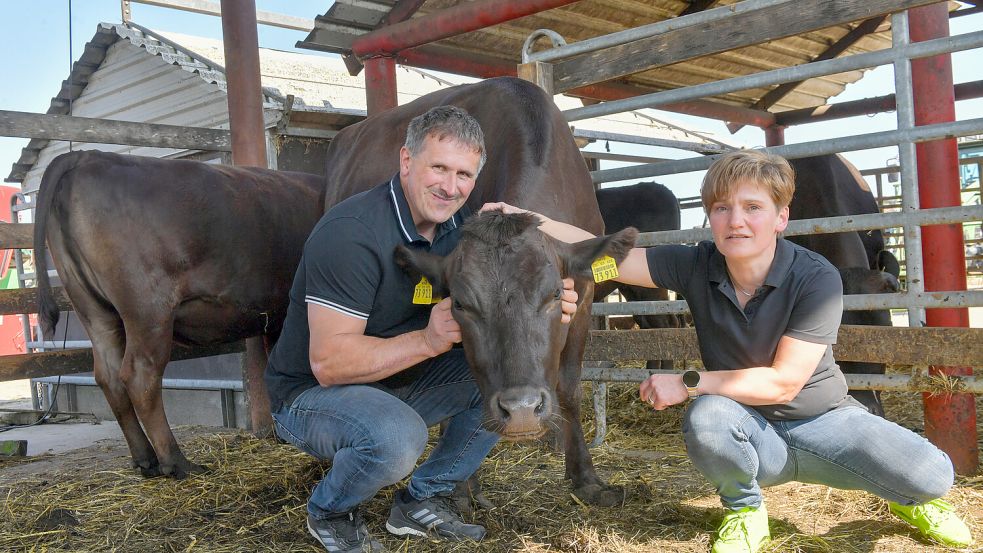 Hans-Joachim und Martina von Dankelmann aus Diele haben einen Milchviehbetrieb, züchten aber auch Wagyu-Rinder. Foto: Klaus Ortgies