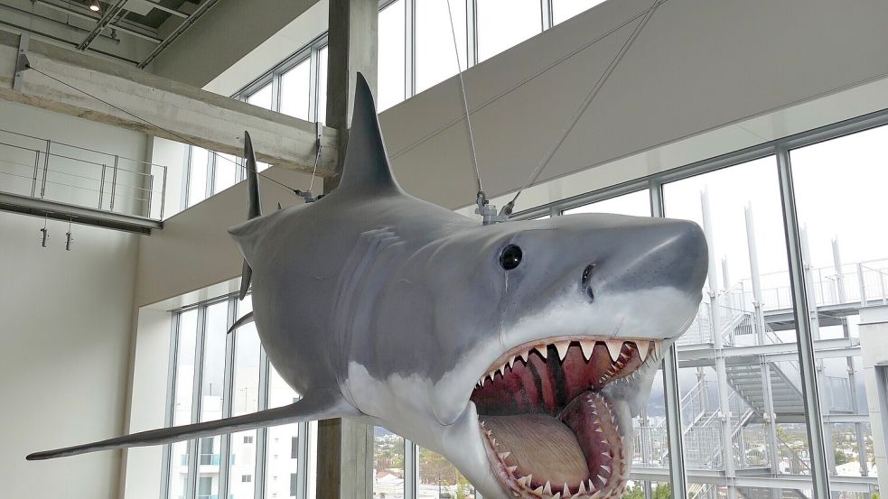 Eine Kunstoff-Nachbildung von „Bruce“, dem Hai aus Steven Spielbergs Filmklassiker „Der weiße Hai“ von 1975 hängt im Academy Museum. Foto: Barbara Munker/dpa