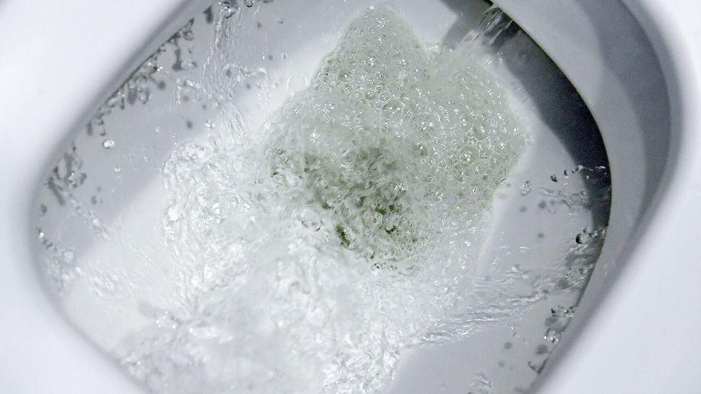 Spülwasser rauscht durch eine Toilette. Für einen Teil der Bunder Bürger wird der Toilettengang künftig teurer. Foto: Ralf Hirschberger/dpa