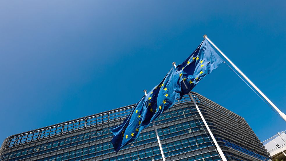 Im EU-Parlament in Straßburg wurde Geschichte geschrieben: Mit überwältigender Mehrheit stimmten die Abgeordneten für schärfere Gesetze gegen Kindesmissbrauch. Foto: Philipp von Ditfurth/dpa