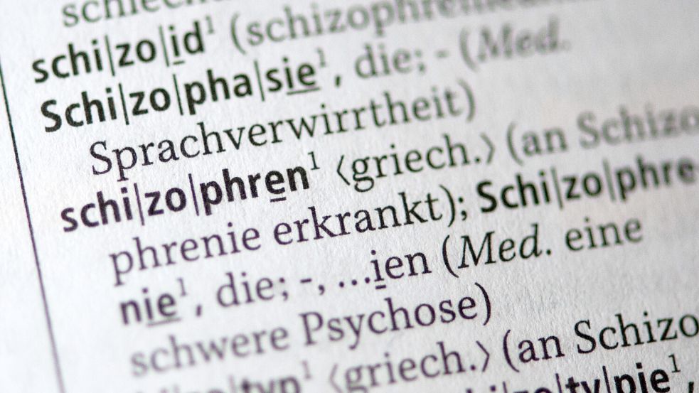 Der Beschuldigte leidet an Schizophrenie. Symbolfoto: Christian Charisius/dpa