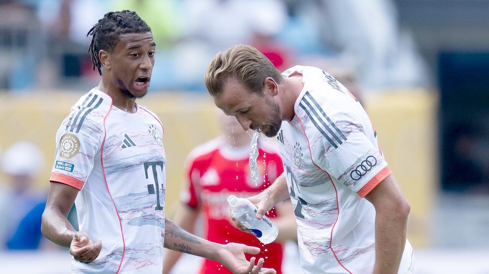 Die Hitze in Charlotte setzte allen Spielern extrem zu. Harry Kane mit Wasserflasche in einer Trinkpause, links Teamkollege Michael Olise. Foto: Sven Hoppe/dpa