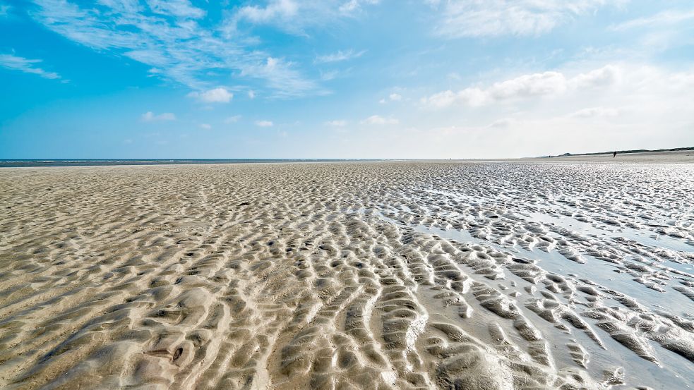 Das Wattenmeer ist ein ganz besonderes Ökosystem. Fotos: Ostfriesland.travel/Anna Meurer