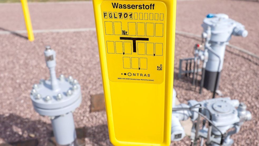 Die Subventionsempfänger müssen einen Teil der staatlichen Hilfen in saubere Technologien wie beispielsweise Wasserstoff investieren. (Archivbild) Foto: Jan Woitas/dpa