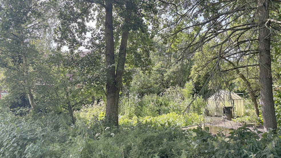 Kein Teil des Entdeckerpfades, aber trotzdem sehenswert: Auf dem Spaziergang kommt man auch an einigen verwunschenen Gärten vorbei.