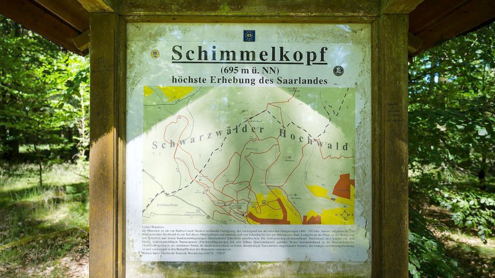 Jahrzehntelang war der Schimmelkopf die höchste natürliche Erhebung des Saarlandes. - bis 2005 neue, präzisere Messungen kamen. Foto: Oliver Dietze/dpa
