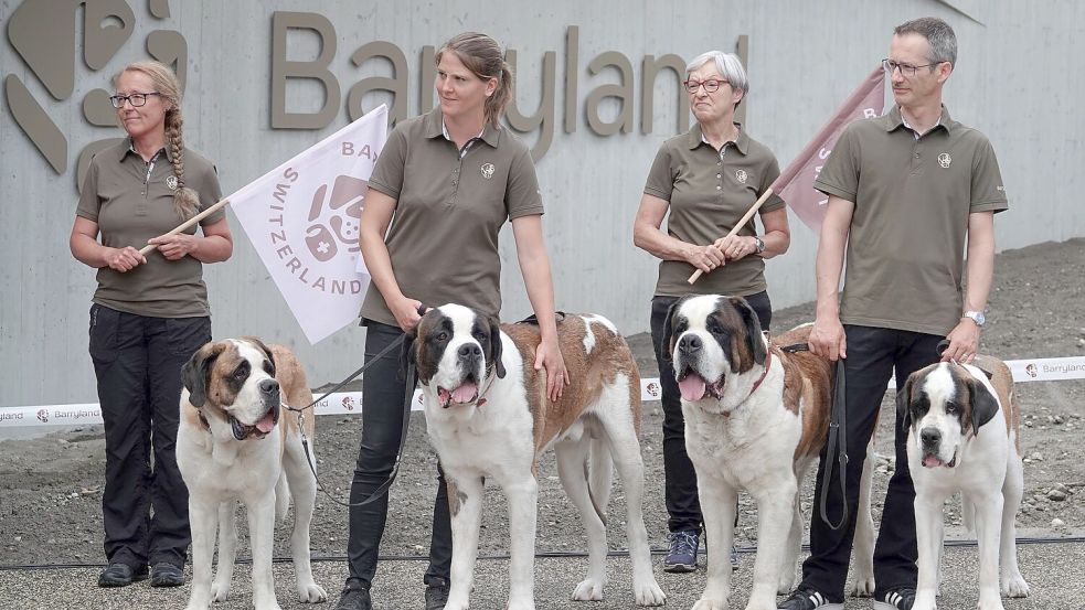 Die Sache mit den Fässchen am Hals der Bernhardiner - erfunden. Foto: Christiane Oelrich/dpa