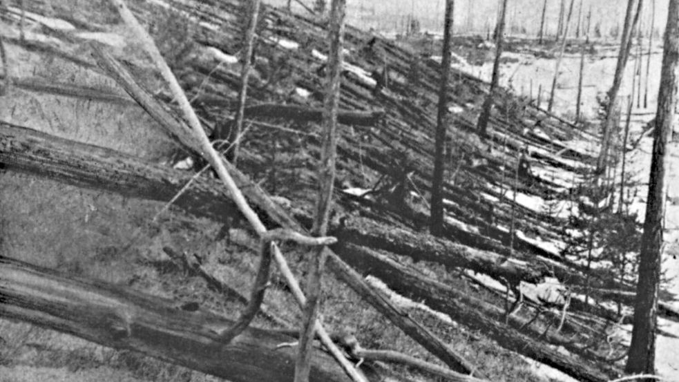 Das Tunguska-Ereignis: Wahrscheinlich ein großer Brocken aus dem All verwüstete 1908 ein Gebiet in Sibirien. (Archivbild) Foto: L. Kulik/Russische Akademie der Wissenschaften/dpa