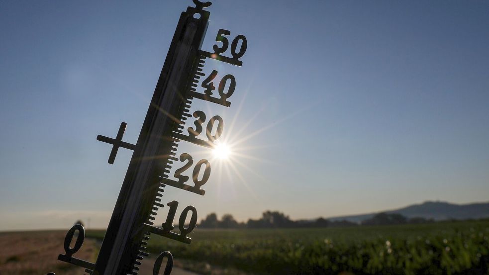 Im Laufe der Woche wird laut DWD nahezu bundesweit die 30-Grad-Marke geknackt. Foto: Thomas Warnack/dpa