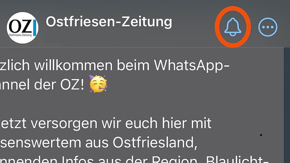 Der rote Kreis markiert eine Glocke. Wenn Sie sie antippen, erscheint sie nicht mehr durchgestrichen, so wie hier im Bild. Dann sind die Benachrichtigungen für den OZ-Kanal aktiviert.