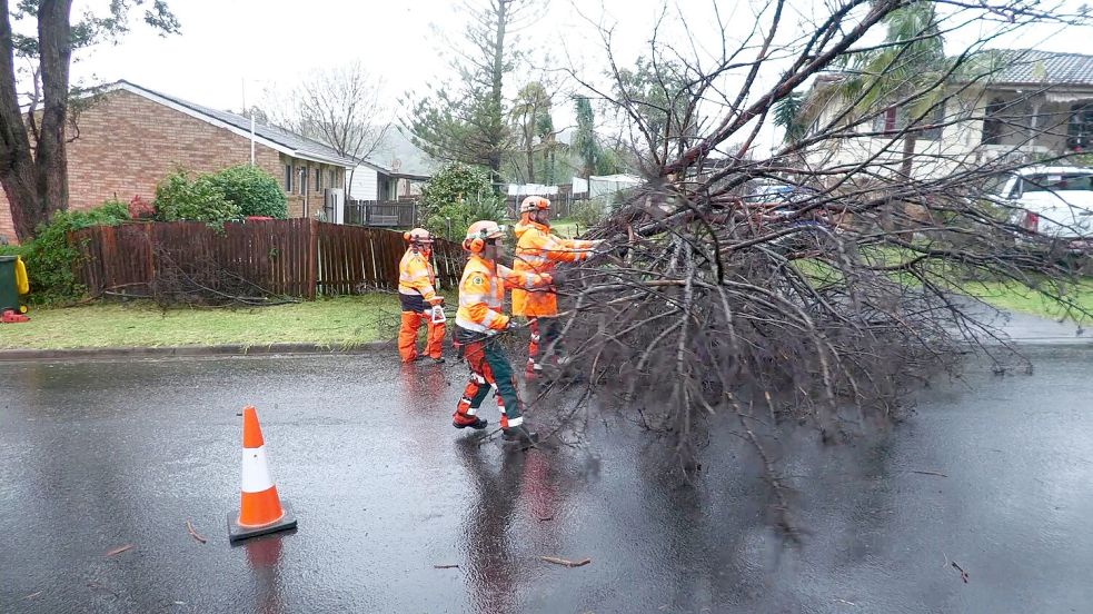Herabstürzende Bäume haben auch Häuser beschädigt. Foto: Supplied By New South Wales Stat/NEW SOUTH WALES STATE EMERGENCY SERVICE/APA/dpa