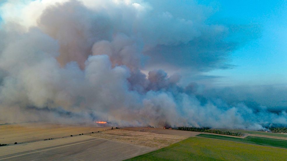 Schon früher gab es hier große Brände: die Gohrischheide zwischen Sachsen und Brandenburg. Foto: Daniel Wagner/dpa