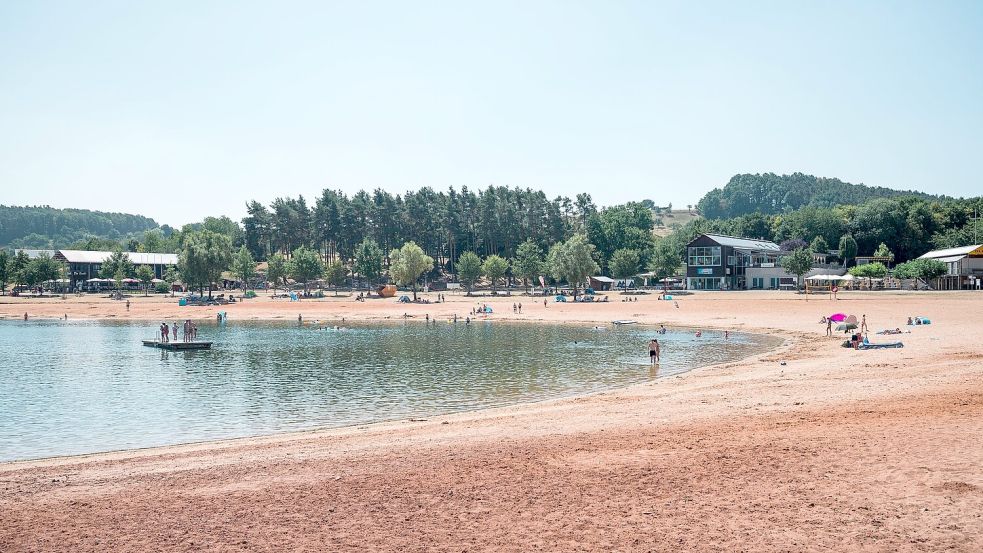 Erneut greift ein Wels einen Schwimmer in der Region an. (Symbolbild) Foto: Daniel Vogl/dpa