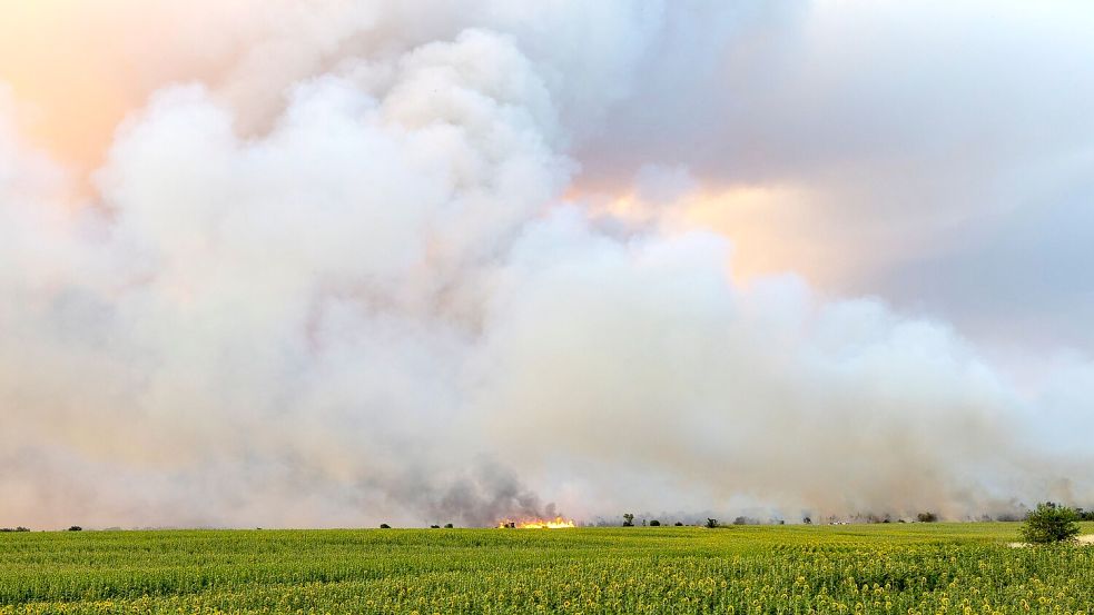 Das Feuer in der Gohrischheide ist weiter nicht unter Kontrolle. Aktuell breitet sich der Brand nach Norden aus, teilte das Landratsamt Meißen am Donnerstagmorgen mit. Foto: Daniel Wagner/dpa