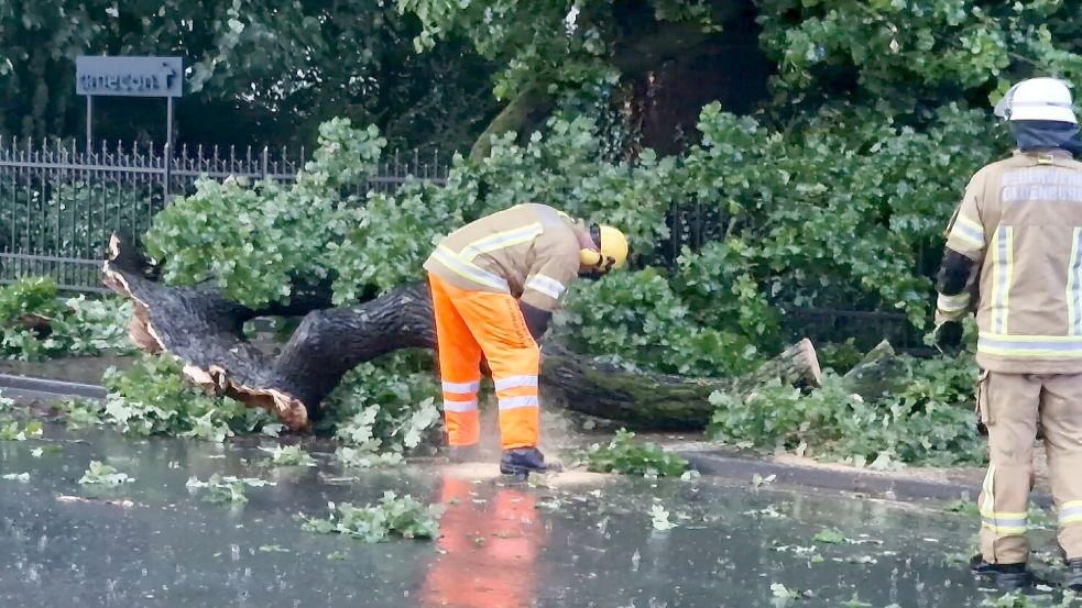 Mehrfach musste die Feuerwehr in der Region am Mittwochabend umgestürzte Bäume beseitigen, die Straßen blockierten. Foto: Nonstopnews