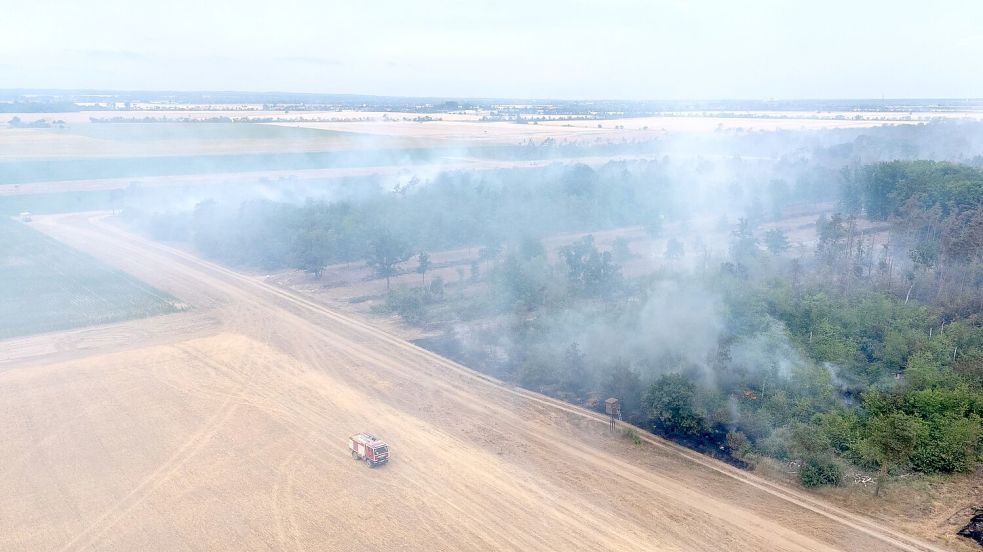 Wegen des Waldbrands in der Gohrischheide wurde Katastrophenalarm ausgelöst. Foto: Sebastian Kahnert/dpa