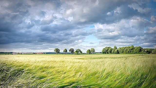 Am Sonntag weht ein kräftiger Südwestwind mit Böen über 50 km/h. Symbolfoto: pixabay
