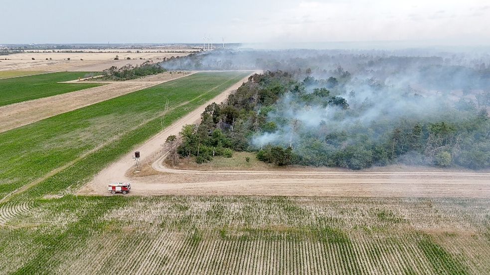 Wegen des Waldbrands in der Gohrischheide wurde Katastrophenalarm ausgelöst. Foto: Sebastian Kahnert/dpa