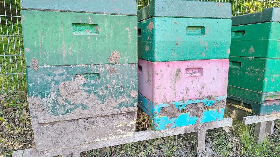 Die Einflugschlitze der Bienenstöcke wurden mit feuchter Erde zugestopft. Foto: Jan Strauß