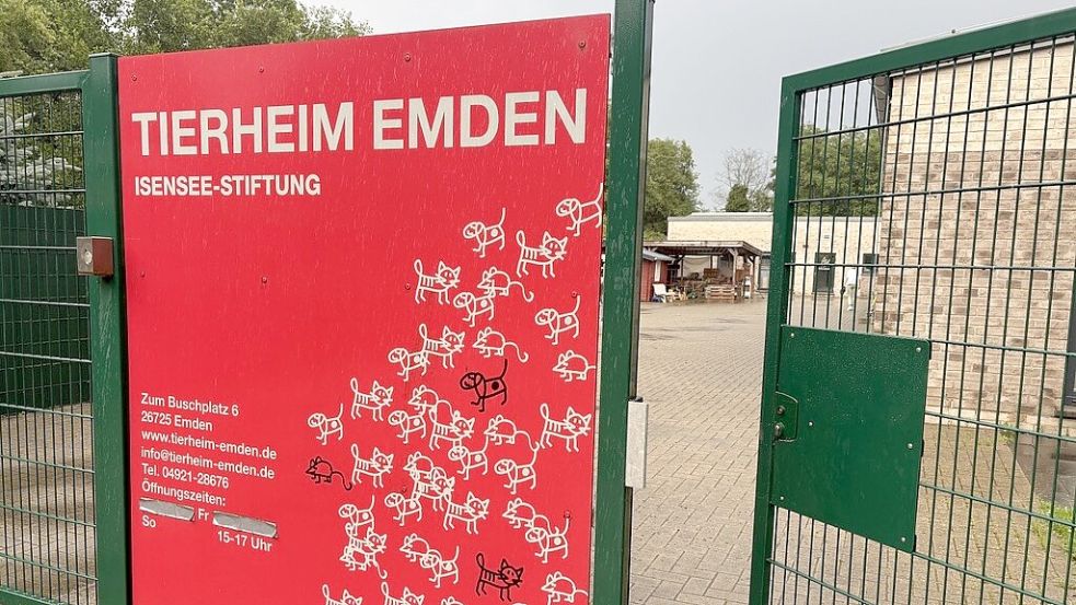 Hereinspaziert: Das Emder Tierheim kann man zu vielen Gelegenheiten besuchen – beispielsweise jeden dritten Sonntag im Monat fürs Café Katzenminze. Foto: Mona Hanssen