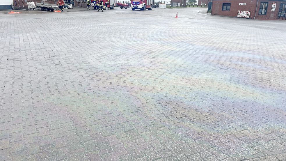 Auch an Land hatte sich das Öl verteilt. Foto: Feuerwehr Norden