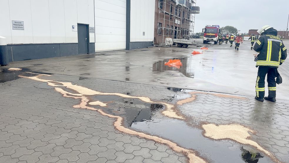 An Land wurde der Ölfilm ebenfalls bekämpft. Foto: Feuerwehr Norden