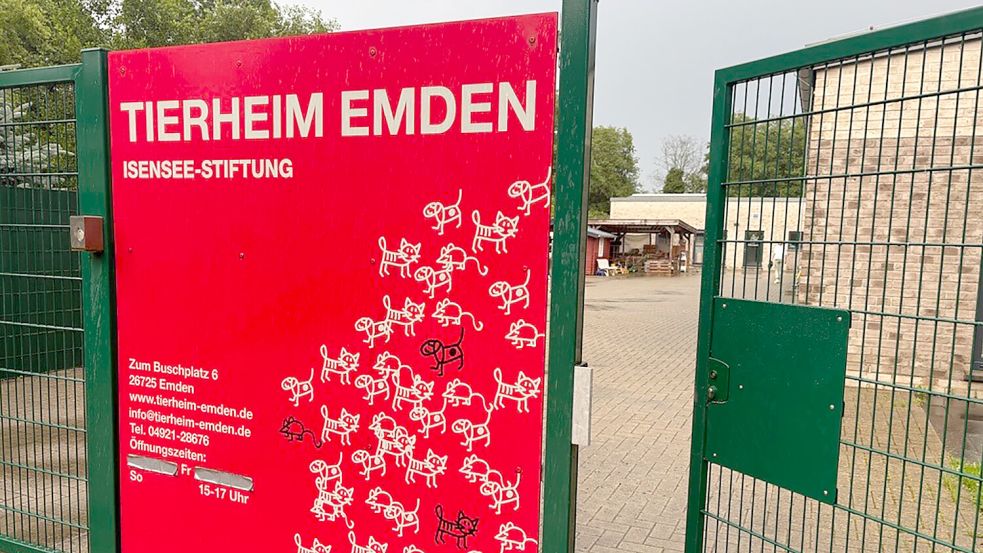 Hereinspaziert: Das Emder Tierheim kann man zu vielen Gelegenheiten besuchen – beispielsweise jeden dritten Sonntag im Monat fürs Café Katzenminze. Foto: Mona Hanssen