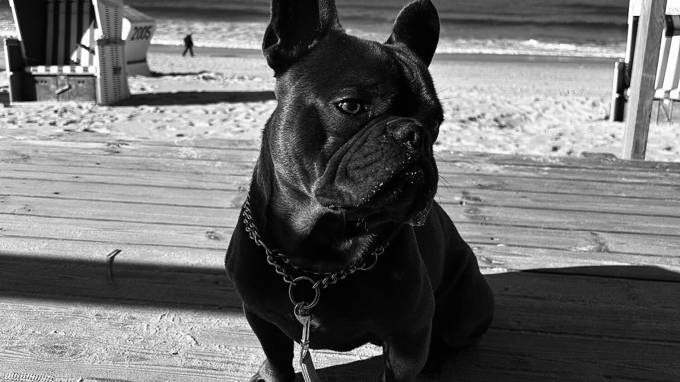 Bruno ist anderthalb Jahre alt geworden. Foto: privat