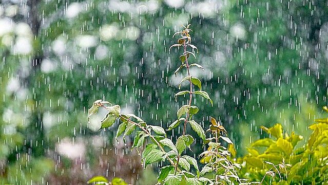 Es kann am Wochenende vereinzelt Schauer geben. Symbolfoto: Pixabay