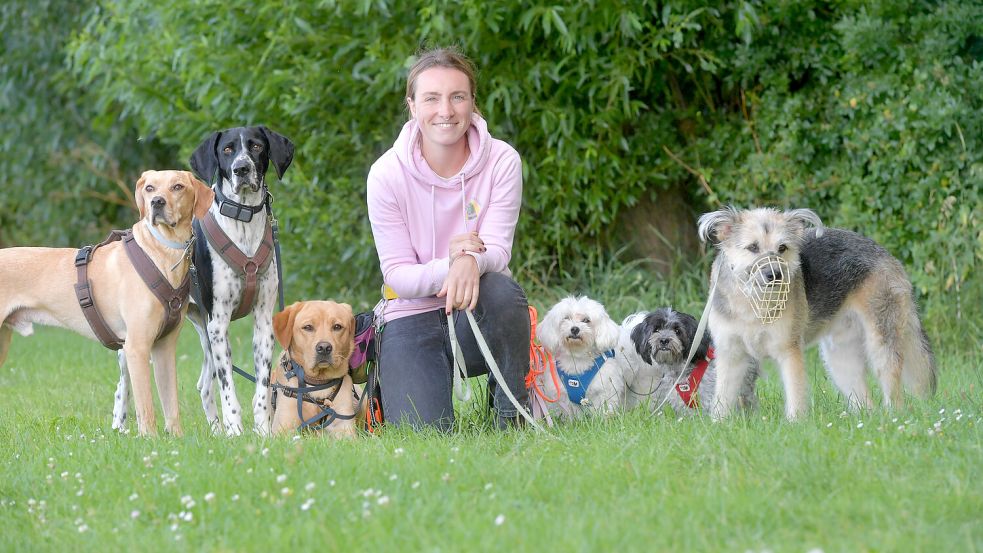 Carla Spies in ihrem Element: Die 27-jährige führt regelmäßig große Gruppen von Hunden auf geführten Spaziergängen aus. Fotos: Klaus Ortgies