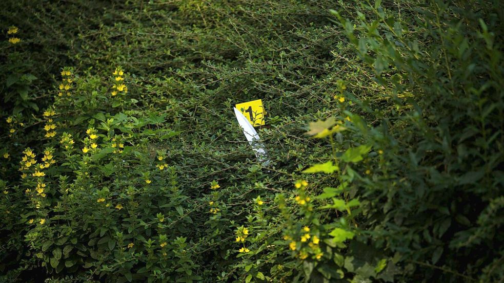 Laut Polizei kamen auch Messer zum Einsatz. Foto: Sina Schuldt/dpa