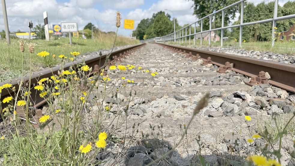 Die Gleise der Bahnstrecke Aurich-Abelitz verlaufen mitten durch Moordorf. Foto: Holger Janssen