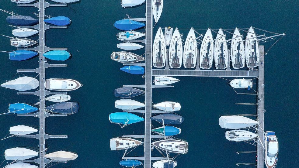 Die Forschenden empfehlen strengere Regeln für Schifffahrt und Bootstourismus. Foto: Felix Kästle/dpa