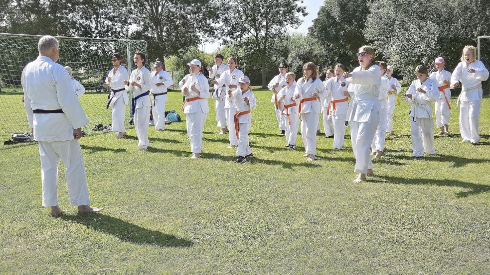 Die verschiedenen Sparten des Vereins – hier die Karatesportler – stellten sich vor. Foto: privat