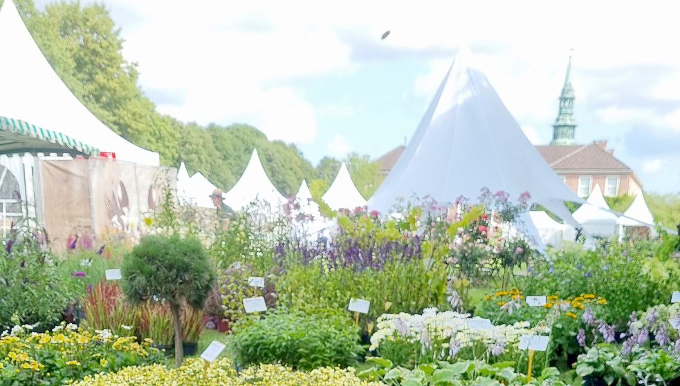 Garten, Wohnen und Lifestyle spielen bei der „LebensArt" die Hauptrolle.