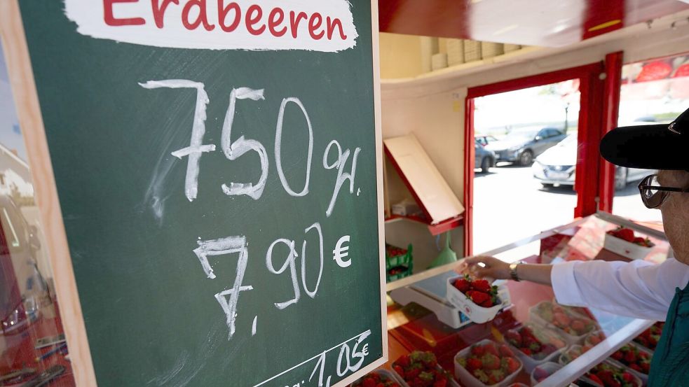 Krumme Packungsgrößen, hohe Preise: Erdbeeren in der Saison 2025. Foto: Philip Dulian/dpa