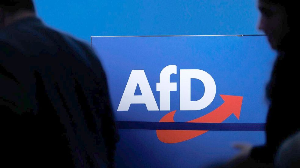 Politiker der AfD stehen regelmäßig wegen umstrittener Äußerungen vor Gericht. Foto: Carsten Koall