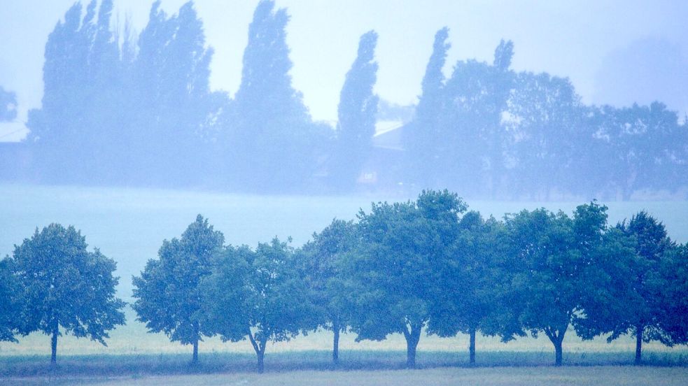 Im Nordosten Deutschlands wird heftiger Regen erwartet. (Archivbild) Foto: Jens Büttner/dpa