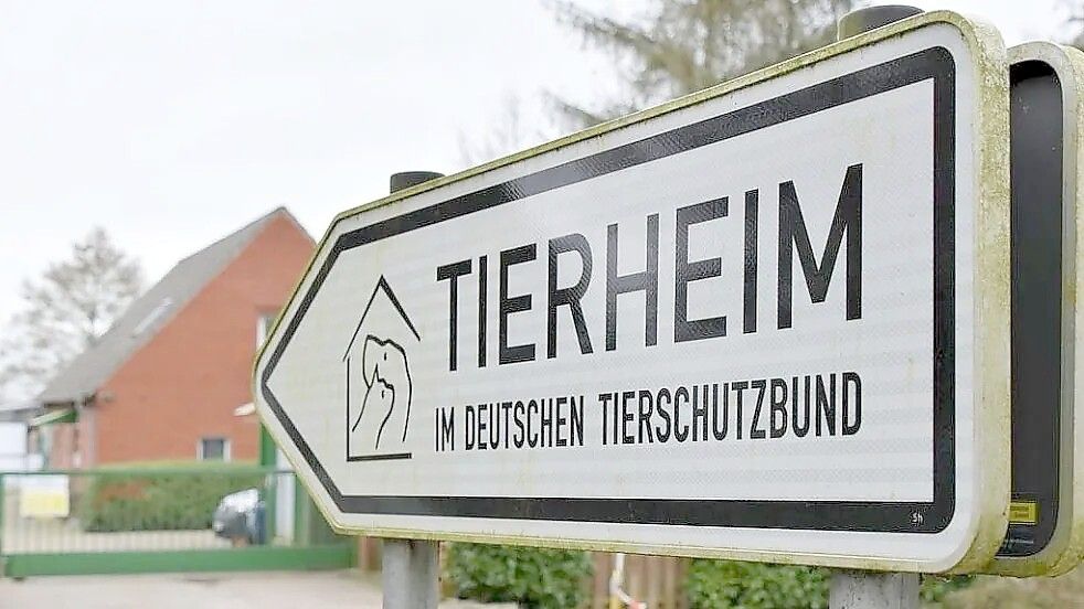 Das Tierheim Sedelsberg steckt laut Angaben des Tierschutzvereins Friesoythe und Umgebung in Schwierigkeiten. Foto: Fenja Hahn