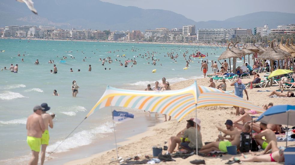 Fischattacken stören die Idylle an der spanischen Mittelmeerküste fast nie. (Archivfoto) Foto: Clara Margais/dpa