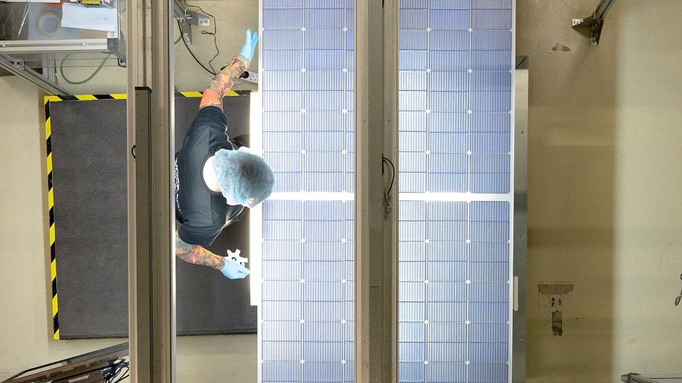 Laut Insolvenzverwalter Flöther gibt es für den Solarmodulhersteller eine Reihe von Interessenten. (Archivbild) Foto: Sebastian Kahnert/dpa-Zentralbild/dpa