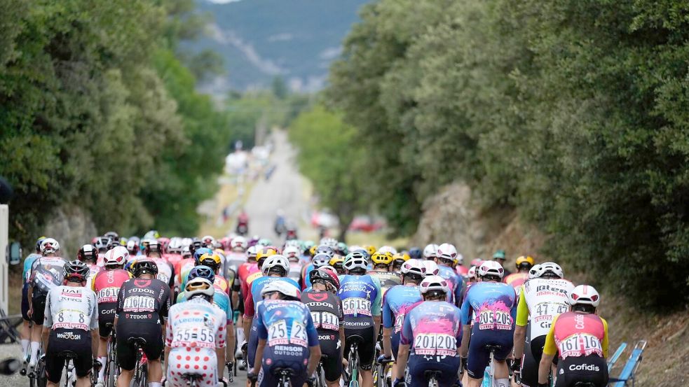 Die Fahrer auf der 17. Etappe der Tour de France auf dem Weg nach Valence. Foto: Mosa’ab Elshamy/AP/dpa