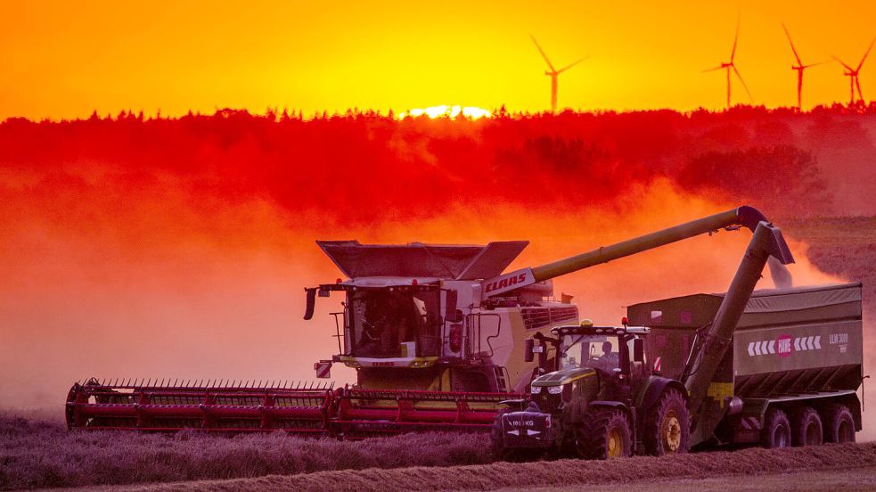 Die Ernte der Landwirte könnte bei einigen Pflanzen geringer ausfallen. Schuld daran ist die Trockenperiode der vergangenen Wochen. Foto: DPA
