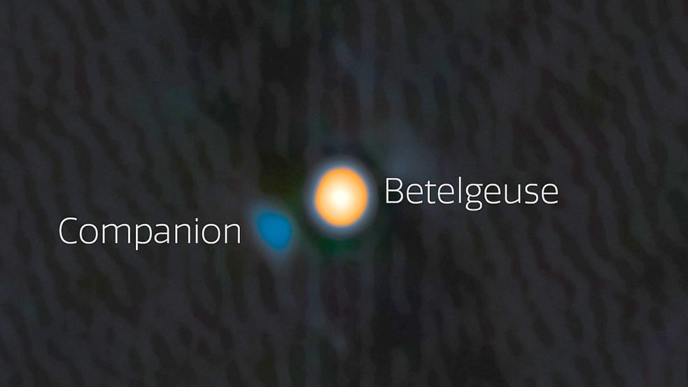 Astronomen haben wahrscheinlich einen Begleitstern von Beteigeuze (englisch: Betelgeuse) entdeckt. Der Begleitstern erscheint hier blau. Foto: --/International Gemini Observatory/NOIRLab/NSF/AURA/dpa