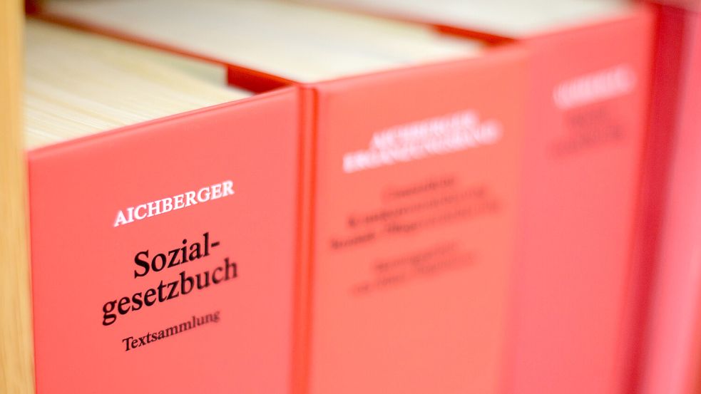 Ein Sozialgesetzbuch steht im Landessozialgericht. Foto: DPA