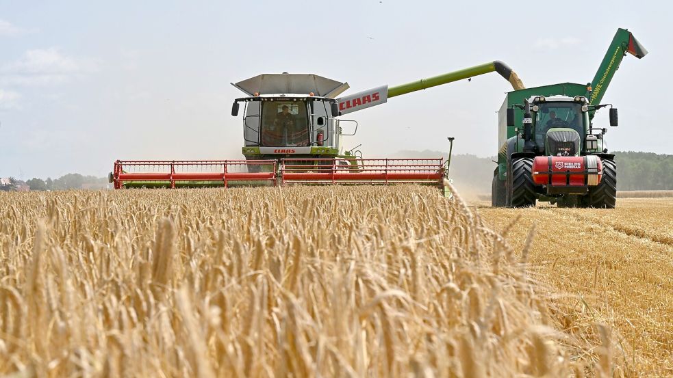 In der Landwirtschaft stehen die Familien oft unter besonderem Druck - nicht nur wirtschaftlich, sondern auch familiär. Foto: DPA/ Martin Schutt