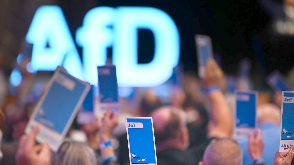 Die AfD will ihre neue Jugendorganisation stärker an sich binden. (Archivbild) Foto: Heiko Rebsch/dpa